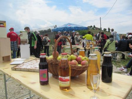 Pomlad v prleških goricah 2013 11